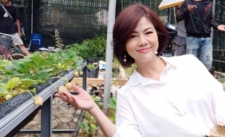 Hồ Lệ Thu về nước tham gia phim sitcom “Thả lưới bắt em” 