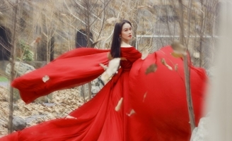 Nhật Kim Anh thực hiện chuỗi dự án khủng đậm chất liêu trai